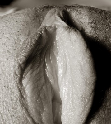 Pussy Close Up Erotic Art