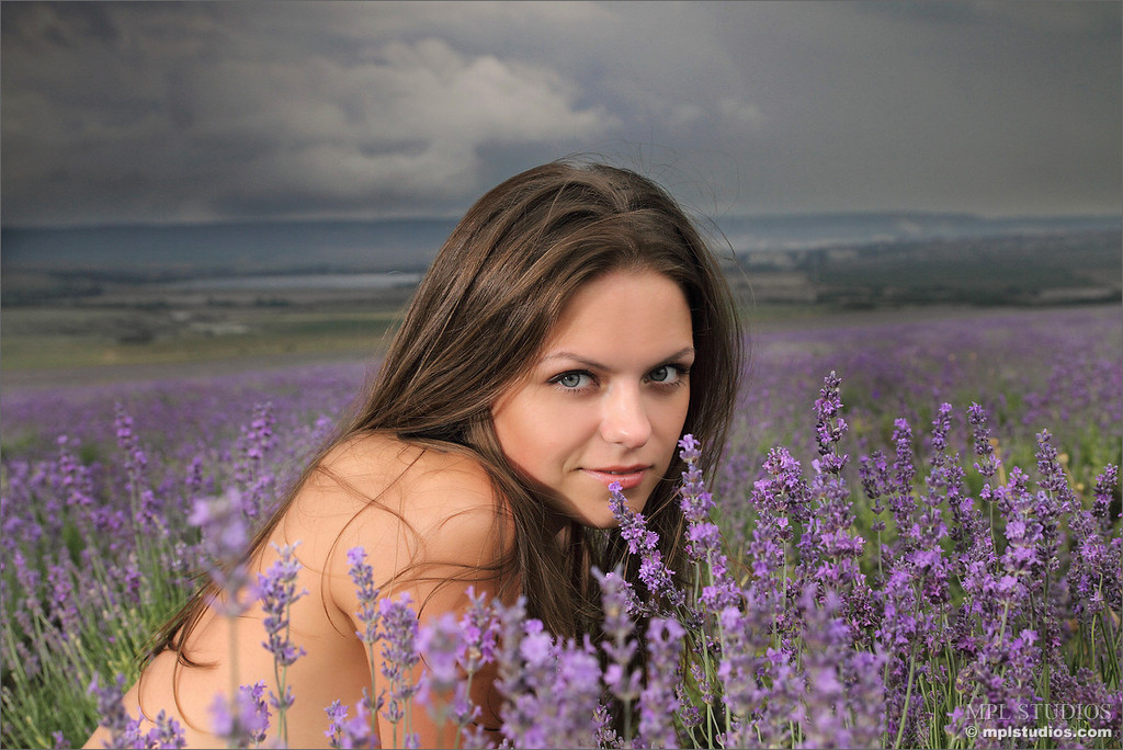 Tessa Lavender Storm